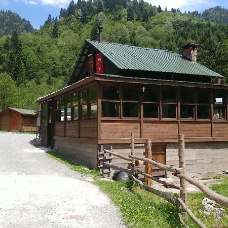 Kardelen Bungalov Evleri̇ Villa Ayder Yaylasi Buitenkant foto