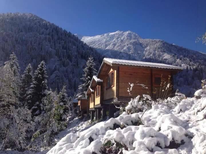 Kardelen Bungalov Evleri̇ Ayder Yaylasi Buitenkant foto