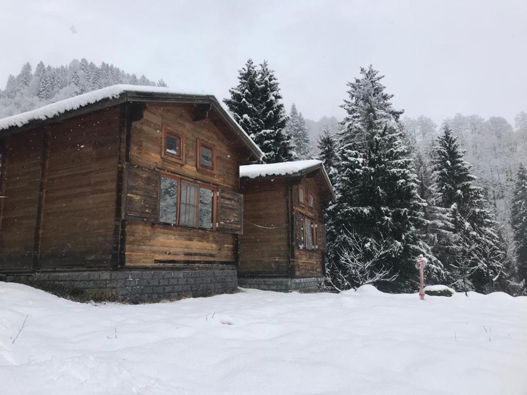 Kardelen Bungalov Evleri̇ Ayder Yaylasi Buitenkant foto