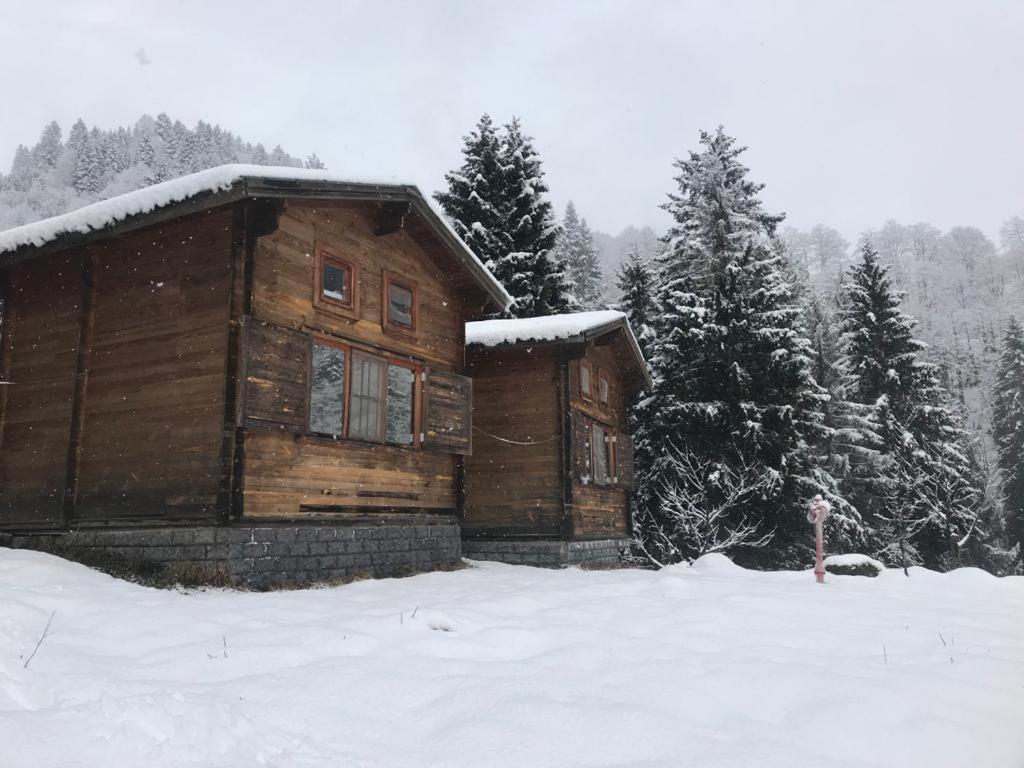 Kardelen Bungalov Evleri̇ Villa Ayder Yaylasi Buitenkant foto