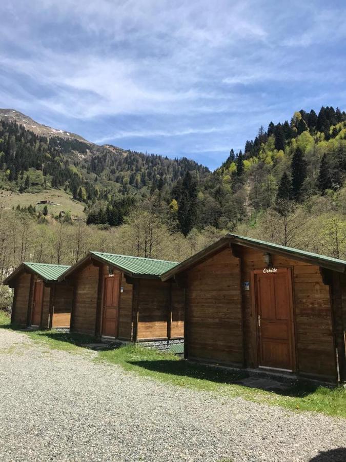 Kardelen Bungalov Evleri̇ Villa Ayder Yaylasi Buitenkant foto