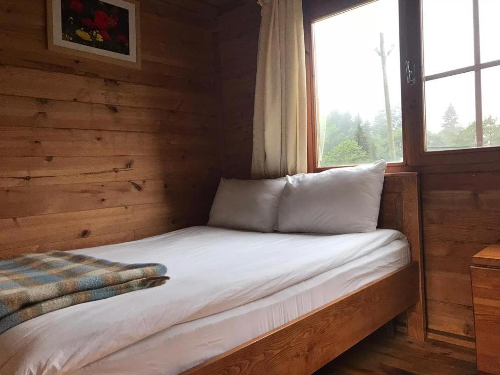 Kardelen Bungalov Evleri̇ Ayder Yaylasi Buitenkant foto