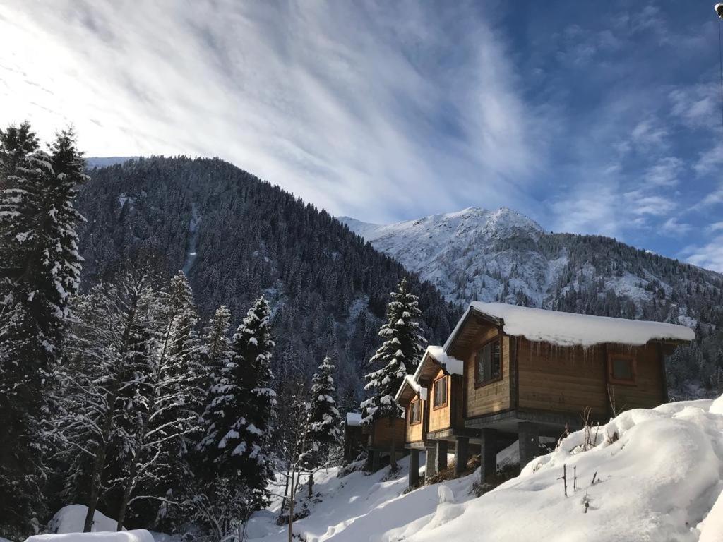 Kardelen Bungalov Evleri̇ Ayder Yaylasi Buitenkant foto