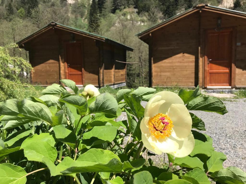 Kardelen Bungalov Evleri̇ Villa Ayder Yaylasi Buitenkant foto