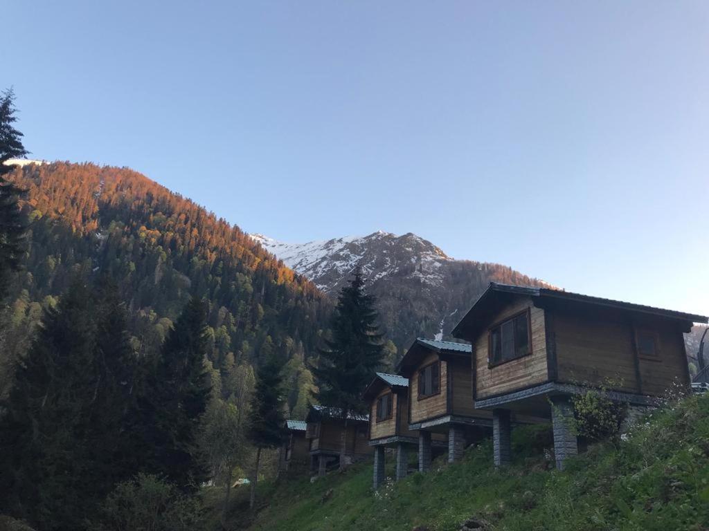 Kardelen Bungalov Evleri̇ Villa Ayder Yaylasi Buitenkant foto