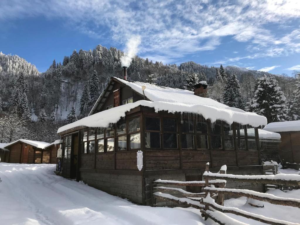 Kardelen Bungalov Evleri̇ Villa Ayder Yaylasi Buitenkant foto