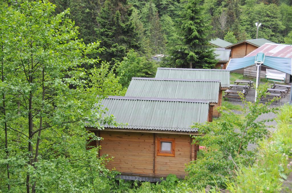 Kardelen Bungalov Evleri̇ Ayder Yaylasi Kamer foto
