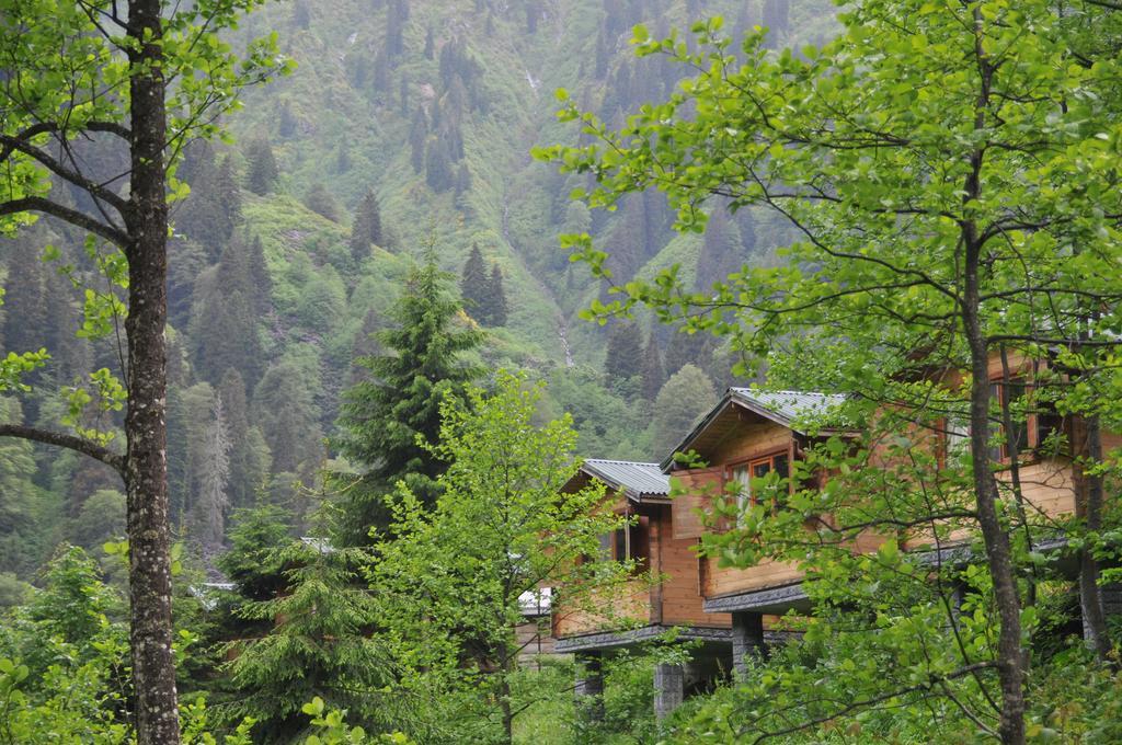 Kardelen Bungalov Evleri̇ Villa Ayder Yaylasi Kamer foto