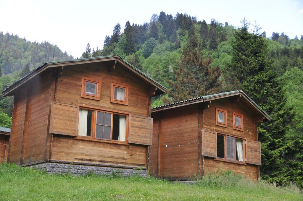 Kardelen Bungalov Evleri̇ Ayder Yaylasi Kamer foto